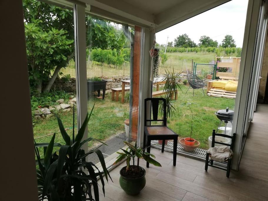 Gite L'Edenwine Doulezon Екстер'єр фото