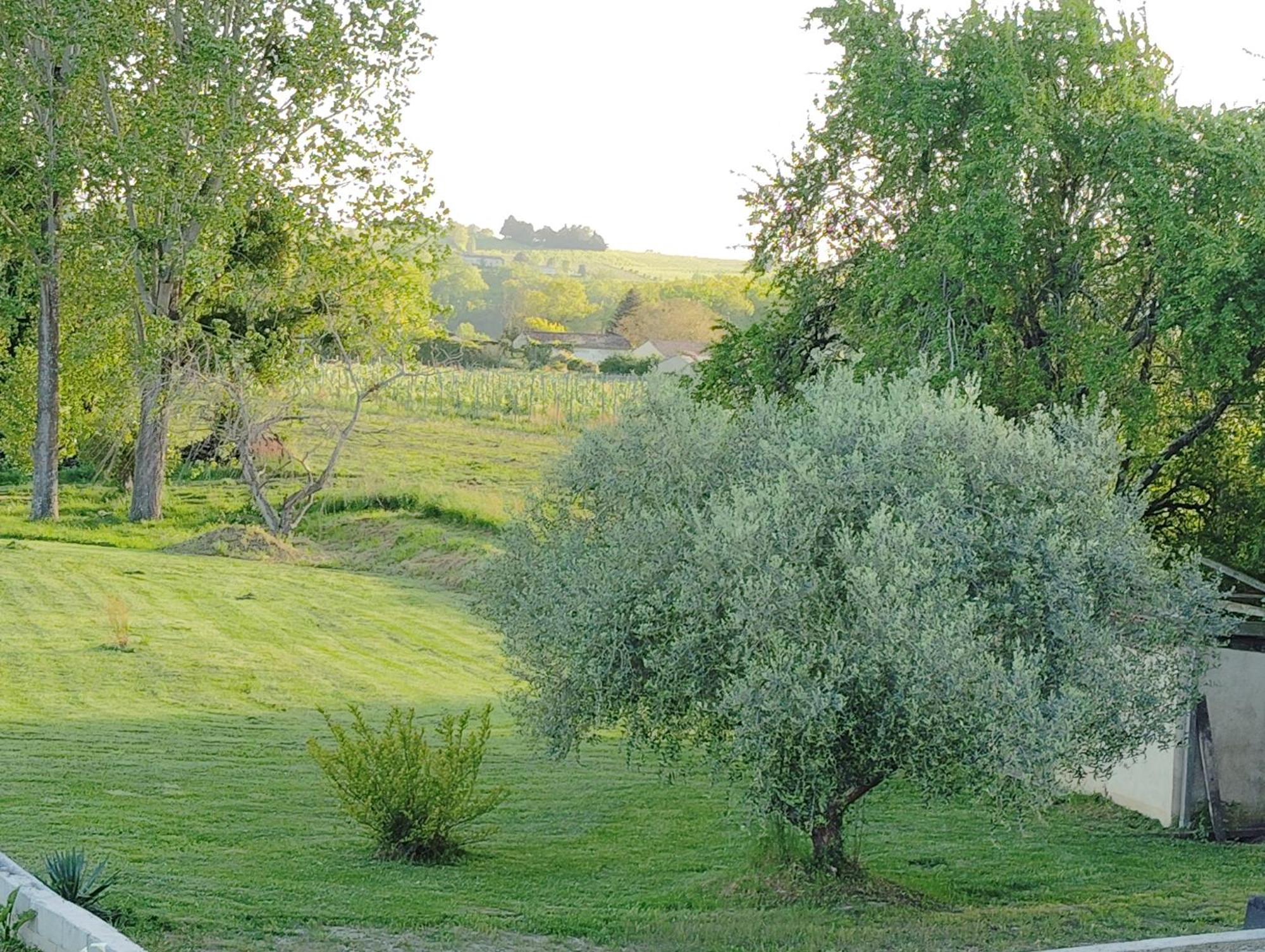Gite L'Edenwine Doulezon Екстер'єр фото