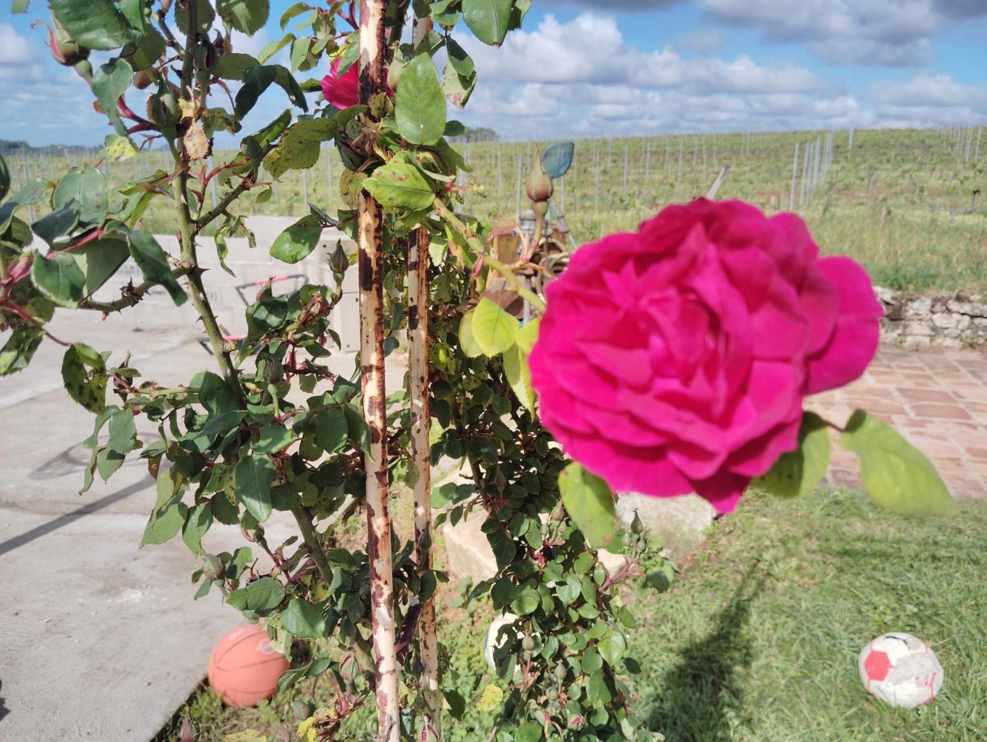 Gite L'Edenwine Doulezon Екстер'єр фото